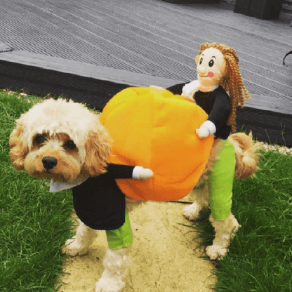 Adorable Pet Pumpkin Halloween Costume - Cozy & Fun for Dogs & Cats