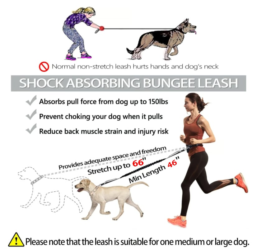 Ultimate Hands-Free Dog Leash with Shock Absorbing Bungee & Zipper Pouch