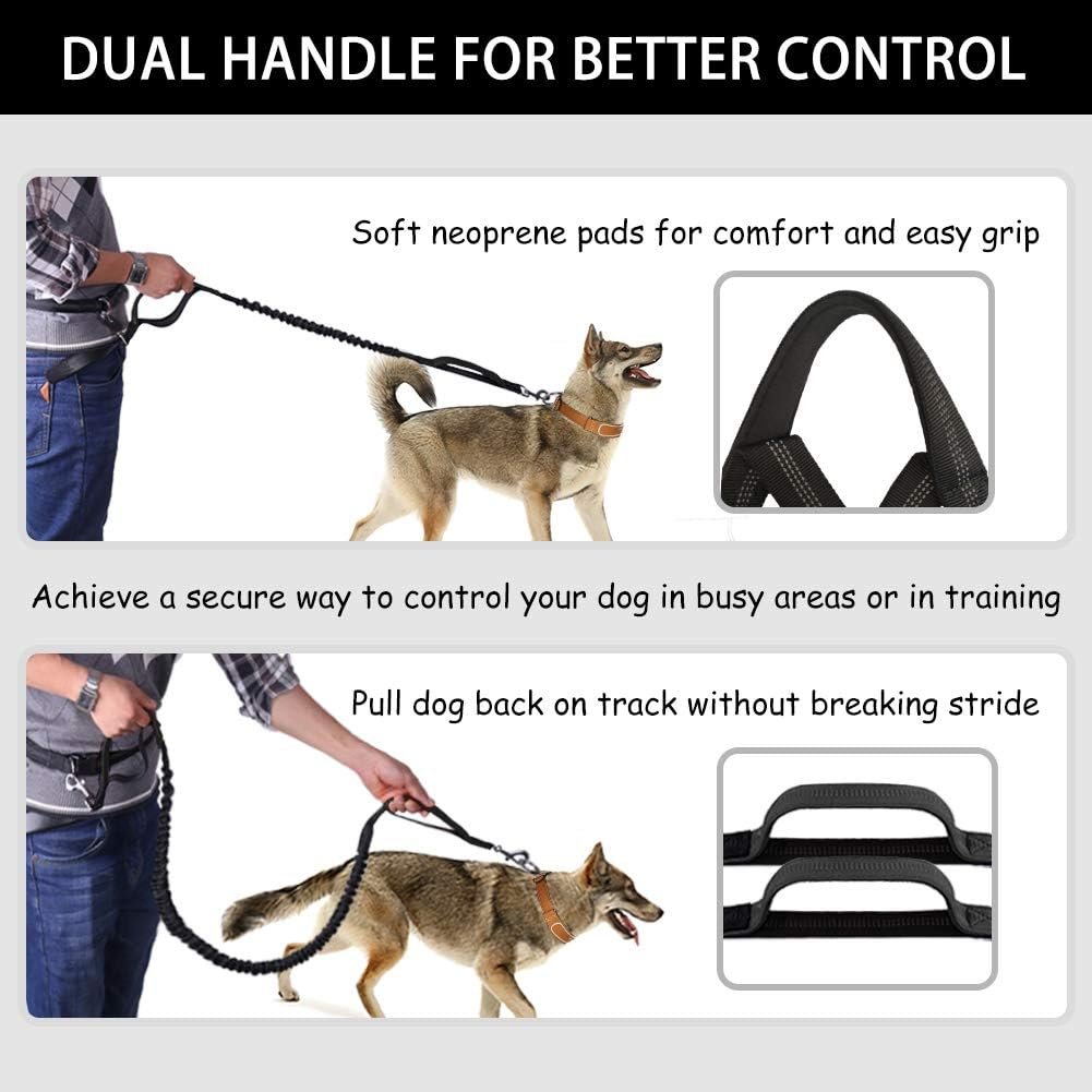 Ultimate Hands-Free Dog Leash with Shock Absorbing Bungee & Zipper Pouch