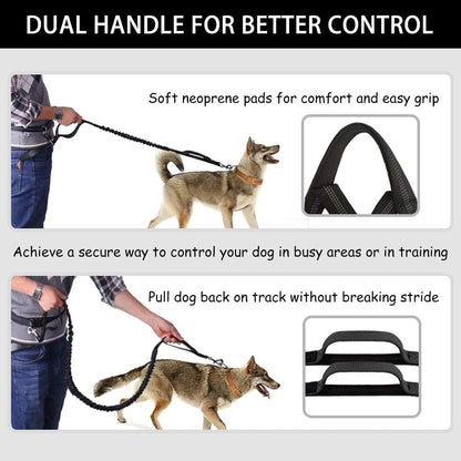 Ultimate Hands-Free Dog Leash with Shock Absorbing Bungee & Zipper Pouch
