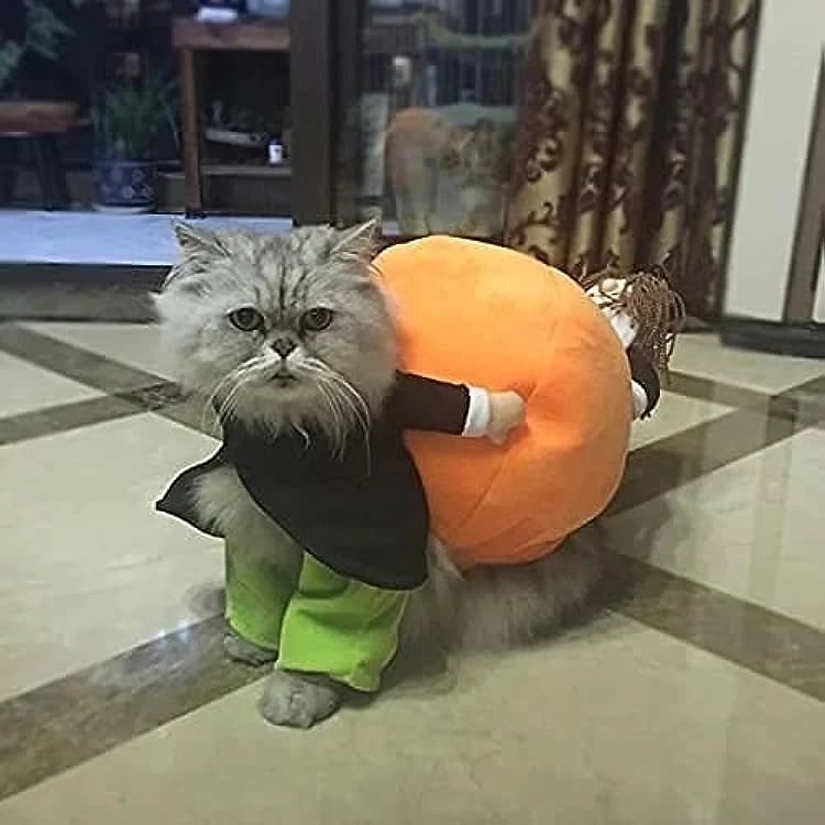 Adorable Pet Pumpkin Halloween Costume - Cozy & Fun for Dogs & Cats