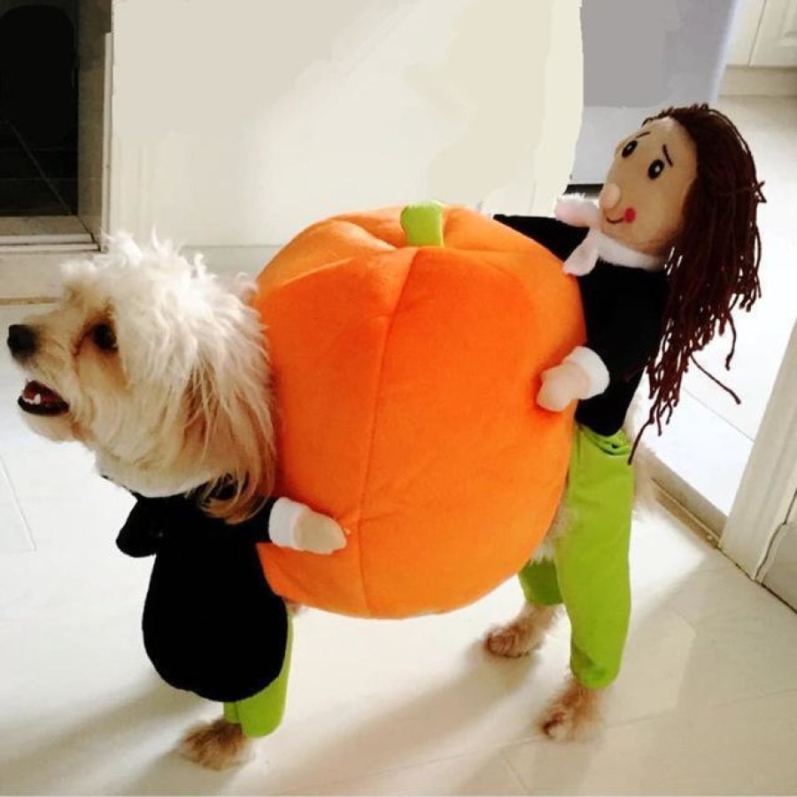 Adorable Pet Pumpkin Halloween Costume - Cozy & Fun for Dogs & Cats