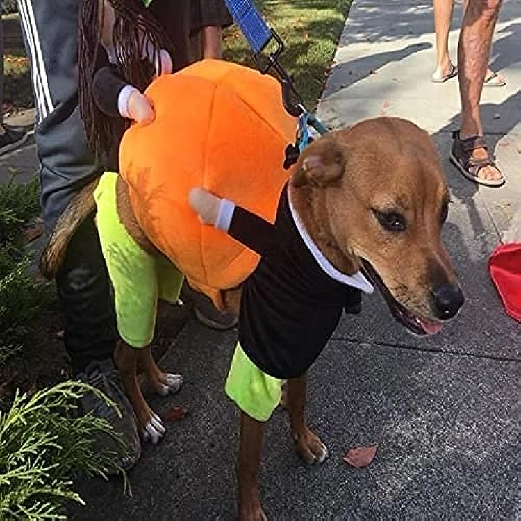Adorable Pet Pumpkin Halloween Costume - Cozy & Fun for Dogs & Cats